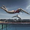 Olympic_swimming